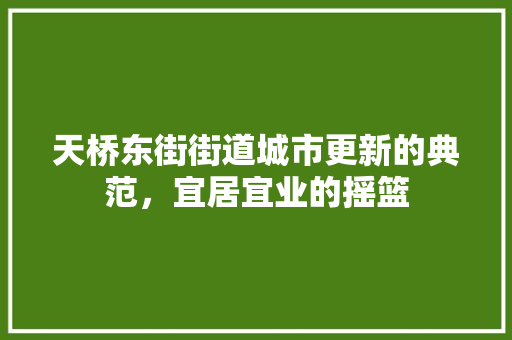 天桥东街街道城市更新的典范，宜居宜业的摇篮