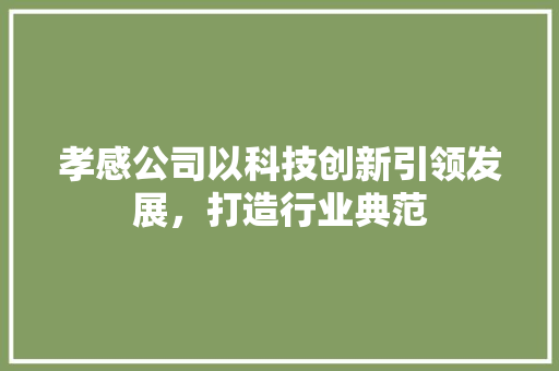 孝感公司以科技创新引领发展，打造行业典范