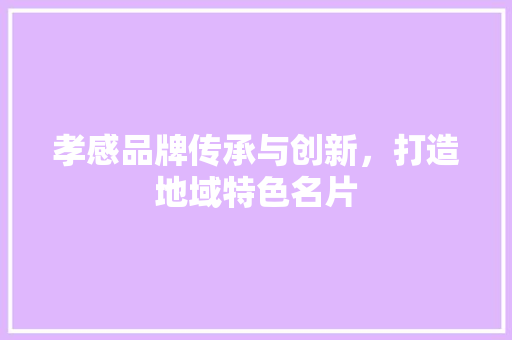 孝感品牌传承与创新，打造地域特色名片