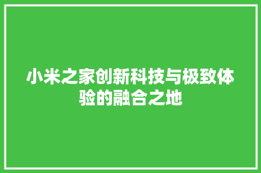 小米之家创新科技与极致体验的融合之地