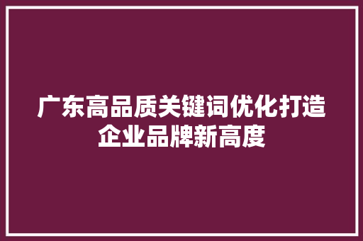广东高品质关键词优化打造企业品牌新高度