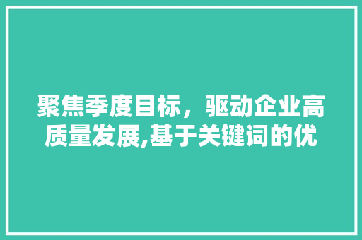 聚焦季度目标，驱动企业高质量发展,基于关键词的优化步骤讨论