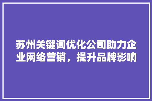 苏州关键词优化公司助力企业网络营销，提升品牌影响力