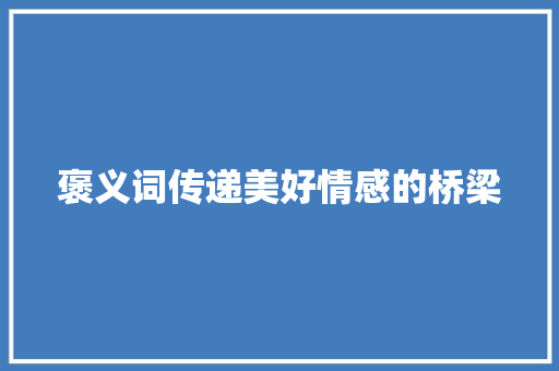 褒义词传递美好情感的桥梁