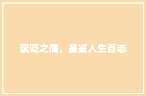 褒贬之间，品鉴人生百态