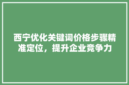 西宁优化关键词价格步骤精准定位，提升企业竞争力