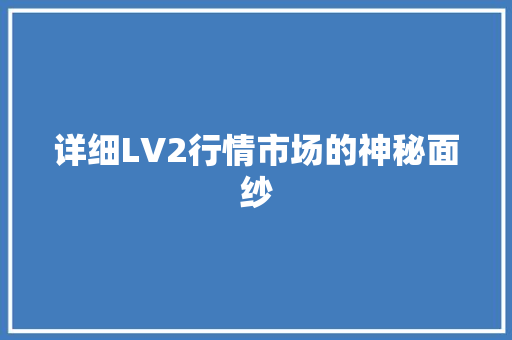 详细LV2行情市场的神秘面纱