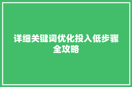详细关键词优化投入低步骤全攻略