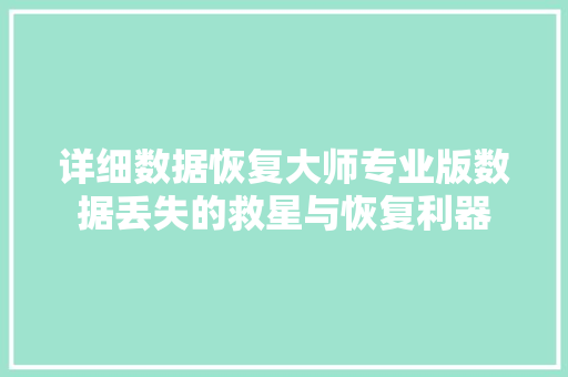 详细数据恢复大师专业版数据丢失的救星与恢复利器