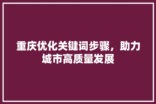 重庆优化关键词步骤，助力城市高质量发展