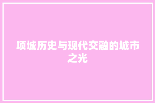 项城历史与现代交融的城市之光