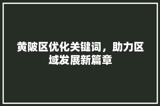 黄陂区优化关键词，助力区域发展新篇章