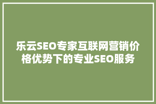 乐云SEO专家互联网营销价格优势下的专业SEO服务