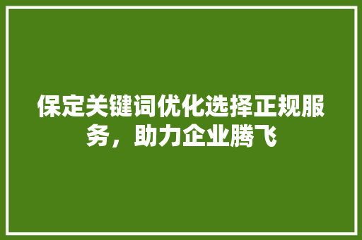 保定关键词优化选择正规服务，助力企业腾飞