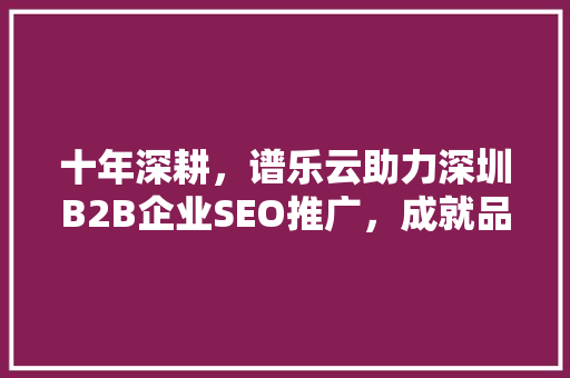 十年深耕，谱乐云助力深圳B2B企业SEO推广，成就品牌辉煌