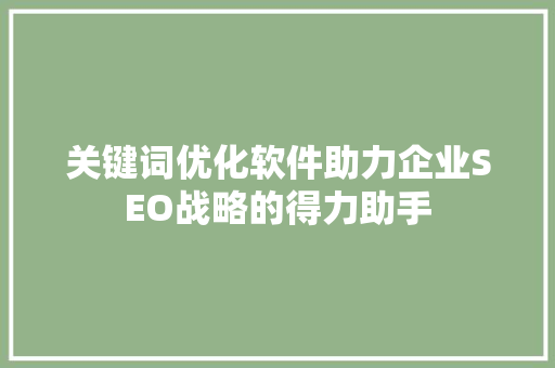 关键词优化软件助力企业SEO战略的得力助手