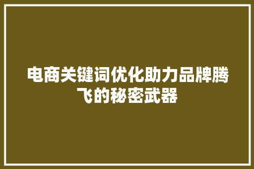 电商关键词优化助力品牌腾飞的秘密武器
