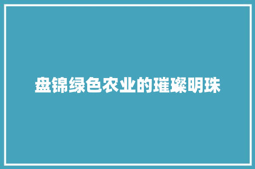 盘锦绿色农业的璀璨明珠