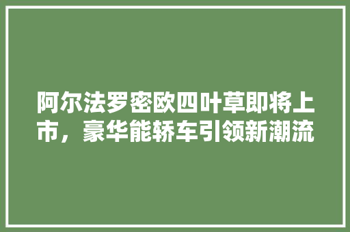 阿尔法罗密欧四叶草即将上市，豪华能轿车引领新潮流