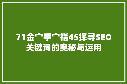 71金宀手宀指45探寻SEO关键词的奥秘与运用
