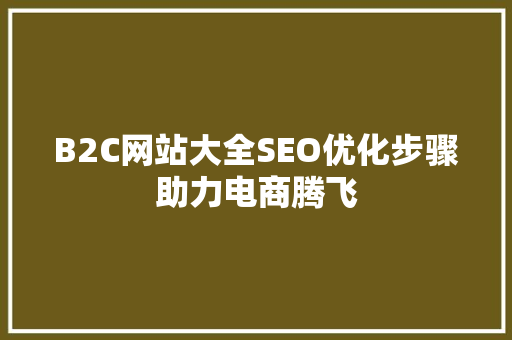 B2C网站大全SEO优化步骤助力电商腾飞