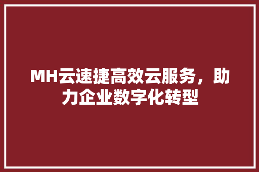 MH云速捷高效云服务，助力企业数字化转型