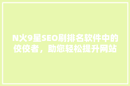 N火9星SEO刷排名软件中的佼佼者，助您轻松提升网站流量与排名