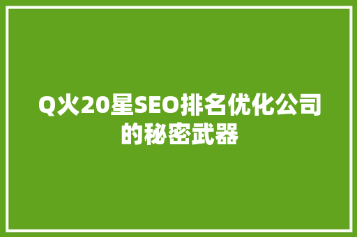 Q火20星SEO排名优化公司的秘密武器