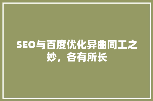SEO与百度优化异曲同工之妙，各有所长