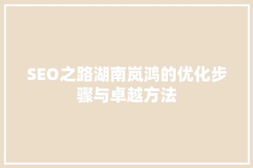 SEO之路湖南岚鸿的优化步骤与卓越方法