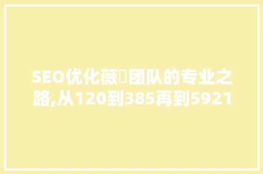SEO优化薇伈团队的专业之路,从120到385再到5921的跨越
