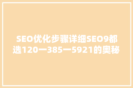 SEO优化步骤详细SEO9都选120一385一5921的奥秘与价值