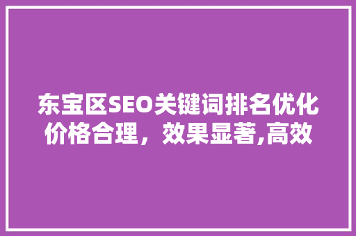 东宝区SEO关键词排名优化价格合理，效果显著,高效SEO步骤