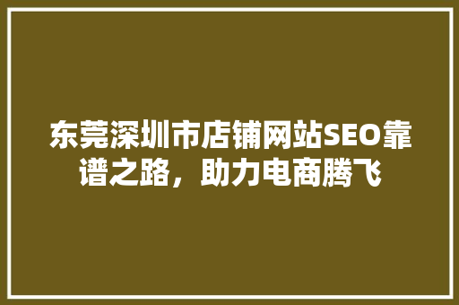 东莞深圳市店铺网站SEO靠谱之路，助力电商腾飞