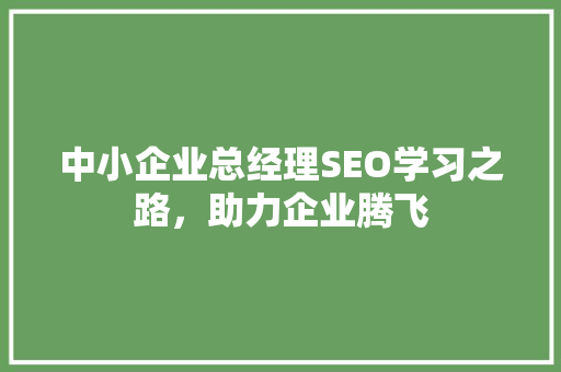 中小企业总经理SEO学习之路，助力企业腾飞