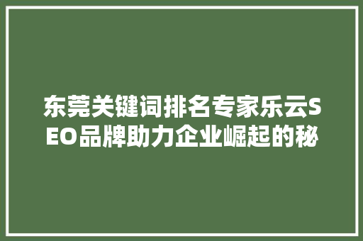 东莞关键词排名专家乐云SEO品牌助力企业崛起的秘密武器