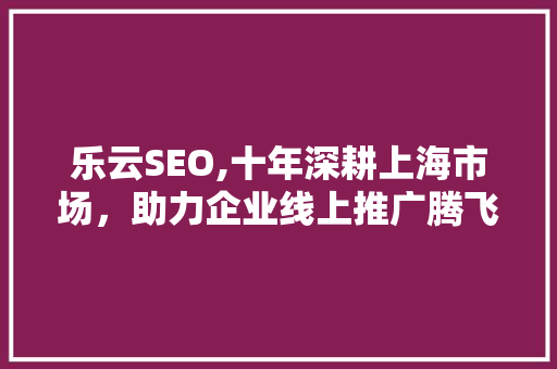 乐云SEO,十年深耕上海市场，助力企业线上推广腾飞