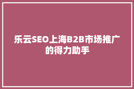 乐云SEO上海B2B市场推广的得力助手
