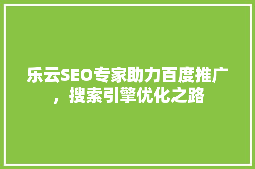 乐云SEO专家助力百度推广，搜索引擎优化之路