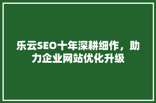 乐云SEO十年深耕细作，助力企业网站优化升级