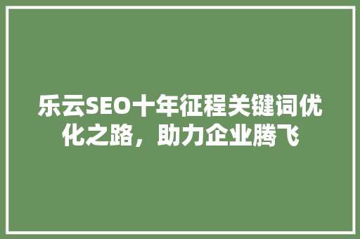 乐云SEO十年征程关键词优化之路，助力企业腾飞
