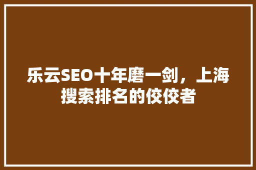 乐云SEO十年磨一剑，上海搜索排名的佼佼者