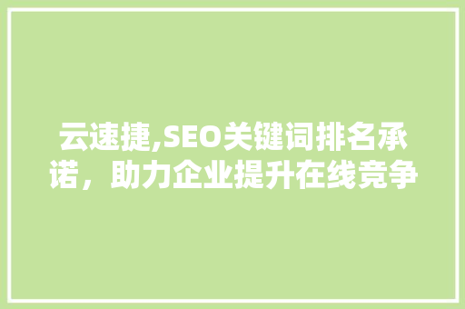 云速捷,SEO关键词排名承诺，助力企业提升在线竞争力