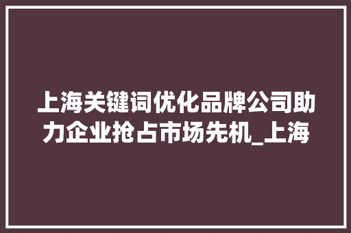 上海关键词优化品牌公司助力企业抢占市场先机_上海关键词优化品牌公司