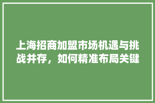 上海招商加盟市场机遇与挑战并存，如何精准布局关键词_上海关键词优化招商加盟