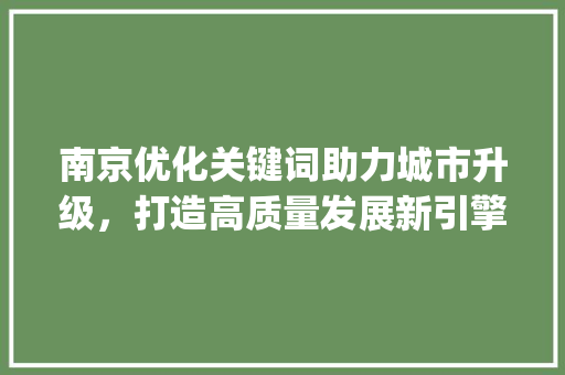 南京优化关键词助力城市升级，打造高质量发展新引擎_南京怎么样优化关键词