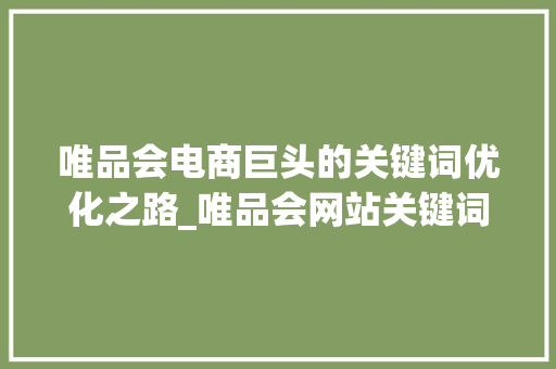 唯品会电商巨头的关键词优化之路_唯品会网站关键词优化