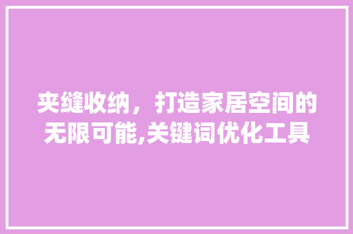 夹缝收纳，打造家居空间的无限可能,关键词优化工具助力家居收纳革命_夹缝收纳关键词优化工具