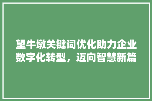 望牛墩关键词优化助力企业数字化转型，迈向智慧新篇章_望牛墩关键词优化公司