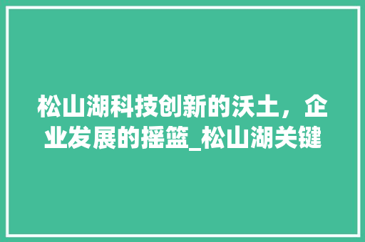 松山湖科技创新的沃土，企业发展的摇篮_松山湖关键词优化公司